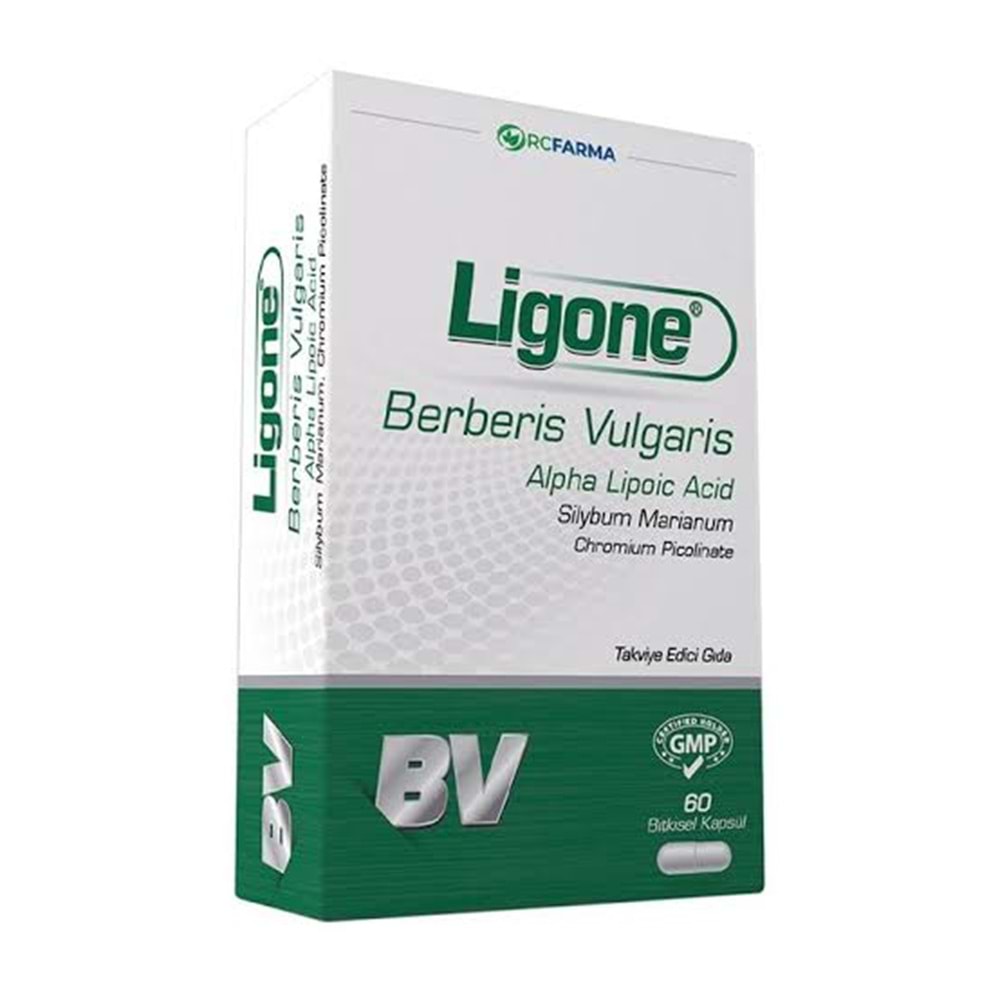 LİGONE BERBERİS VULGARİS 60 KAPSÜL